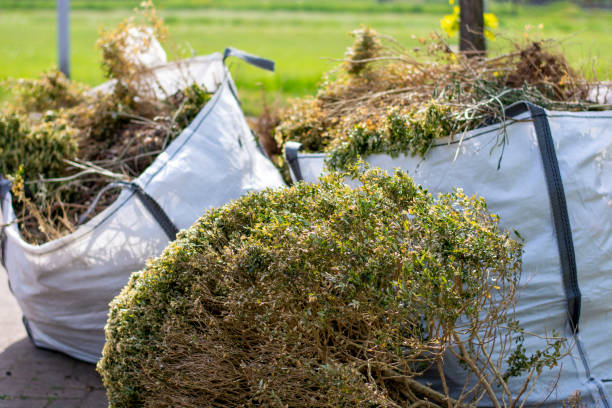 Best Property Management Cleanouts  in St Louis Park, MN
